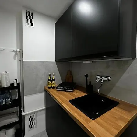 Apartment Ickstatt Studio Munich